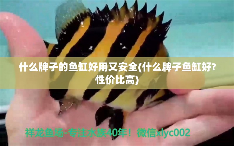 什么牌子的魚缸好用又安全(什么牌子魚缸好?性價比高)