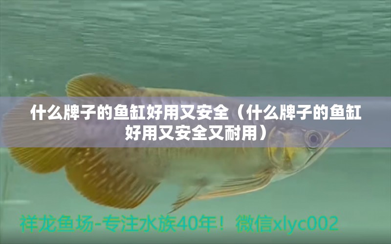 什么牌子的魚缸好用又安全（什么牌子的魚缸好用又安全又耐用） 肥料