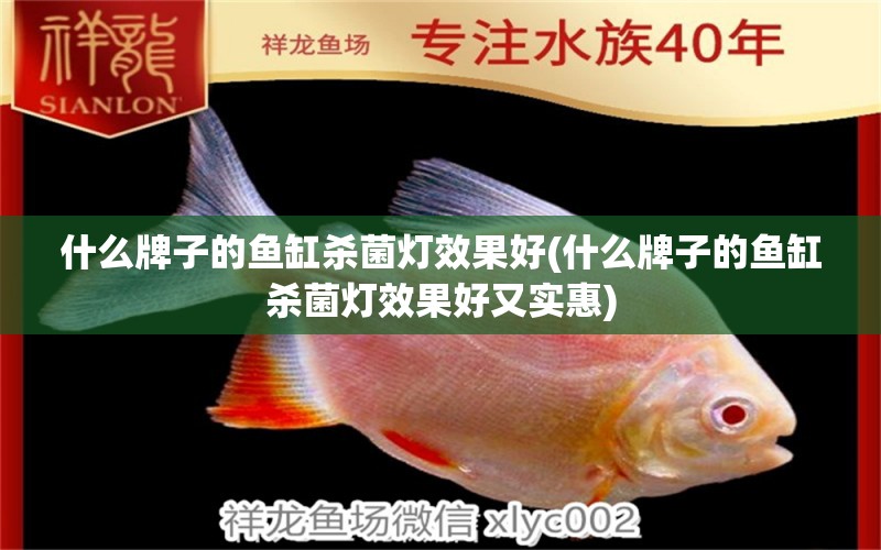 什么牌子的魚缸殺菌燈效果好(什么牌子的魚缸殺菌燈效果好又實惠) 魚缸清潔用具