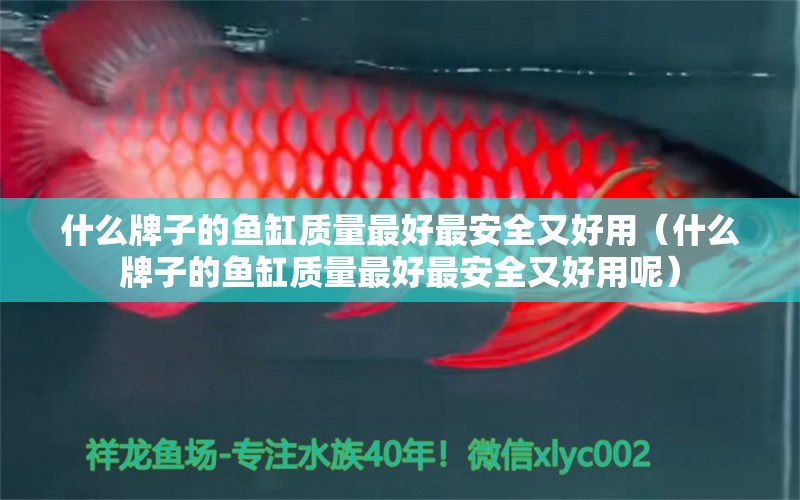 什么牌子的魚缸質(zhì)量最好最安全又好用（什么牌子的魚缸質(zhì)量最好最安全又好用呢） 一眉道人魚