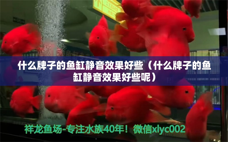 什么牌子的魚缸靜音效果好些（什么牌子的魚缸靜音效果好些呢）