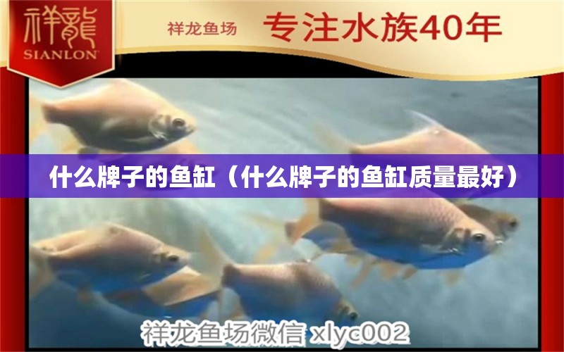 什么牌子的魚缸（什么牌子的魚缸質(zhì)量最好）