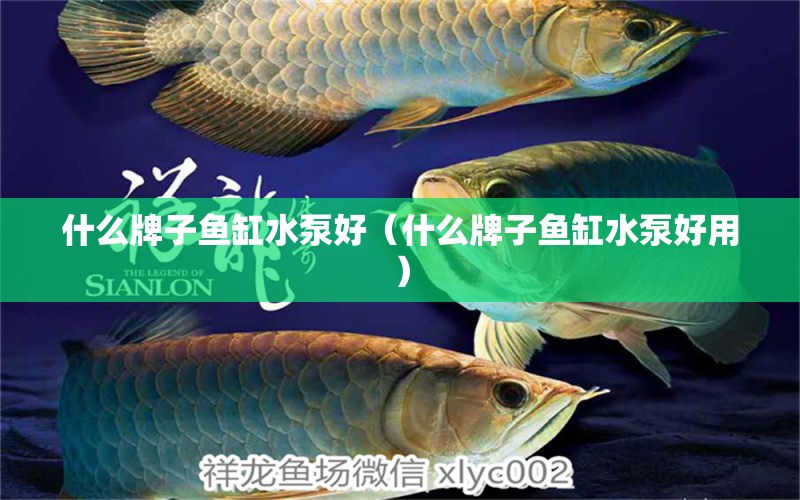 什么牌子魚(yú)缸水泵好（什么牌子魚(yú)缸水泵好用）