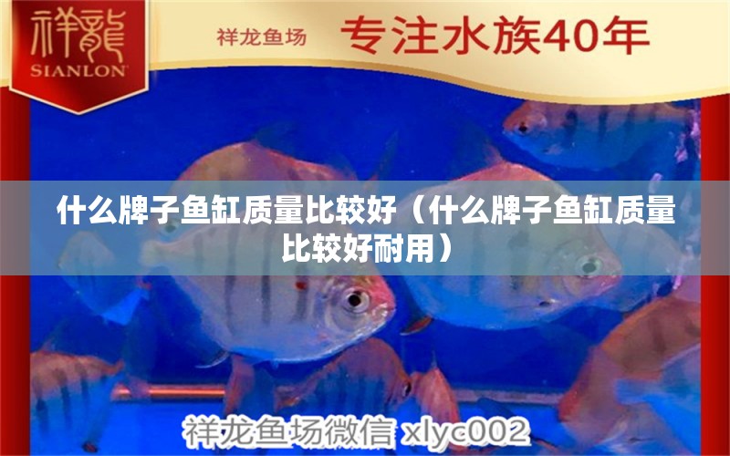 什么牌子魚缸質(zhì)量比較好（什么牌子魚缸質(zhì)量比較好耐用）