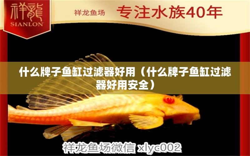 什么牌子魚缸過濾器好用（什么牌子魚缸過濾器好用安全） 觀賞魚進(jìn)出口