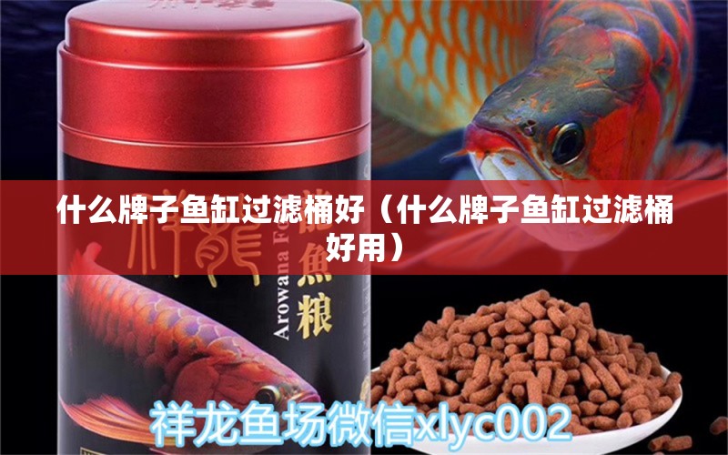 什么牌子魚缸過濾桶好（什么牌子魚缸過濾桶好用）