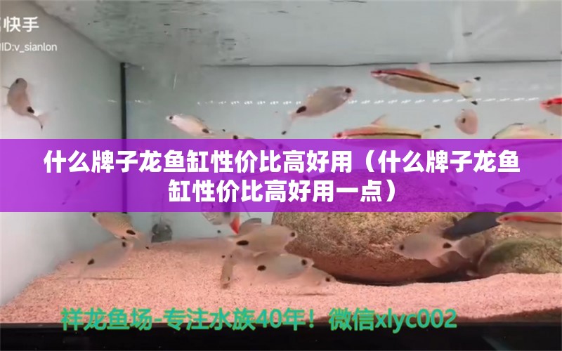 什么牌子龍魚缸性價(jià)比高好用（什么牌子龍魚缸性價(jià)比高好用一點(diǎn)）