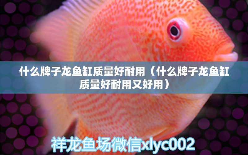 什么牌子龍魚(yú)缸質(zhì)量好耐用（什么牌子龍魚(yú)缸質(zhì)量好耐用又好用）