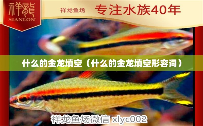 什么的金龍?zhí)羁眨ㄊ裁吹慕瘕執(zhí)羁招稳菰~） 廣州龍魚批發(fā)市場