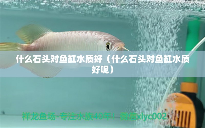 什么石頭對(duì)魚缸水質(zhì)好（什么石頭對(duì)魚缸水質(zhì)好呢） 其他品牌魚缸