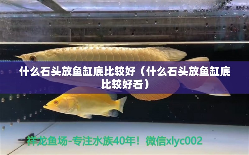 什么石頭放魚缸底比較好（什么石頭放魚缸底比較好看） 其他品牌魚缸