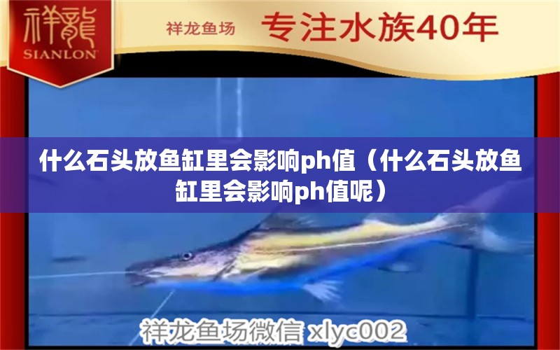 什么石頭放魚缸里會影響ph值（什么石頭放魚缸里會影響ph值呢）