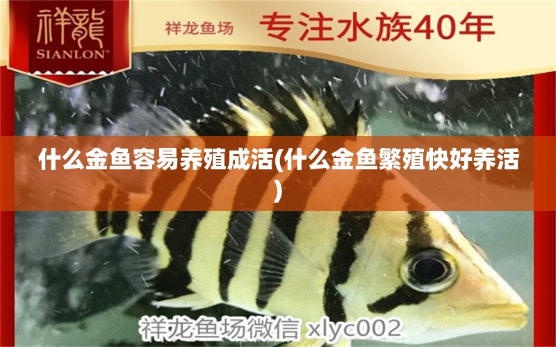 什么金魚容易養(yǎng)殖成活(什么金魚繁殖快好養(yǎng)活) 祥龍傳奇品牌魚缸