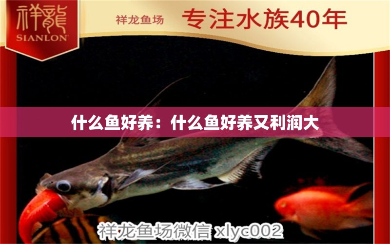 什么魚好養(yǎng)：什么魚好養(yǎng)又利潤(rùn)大