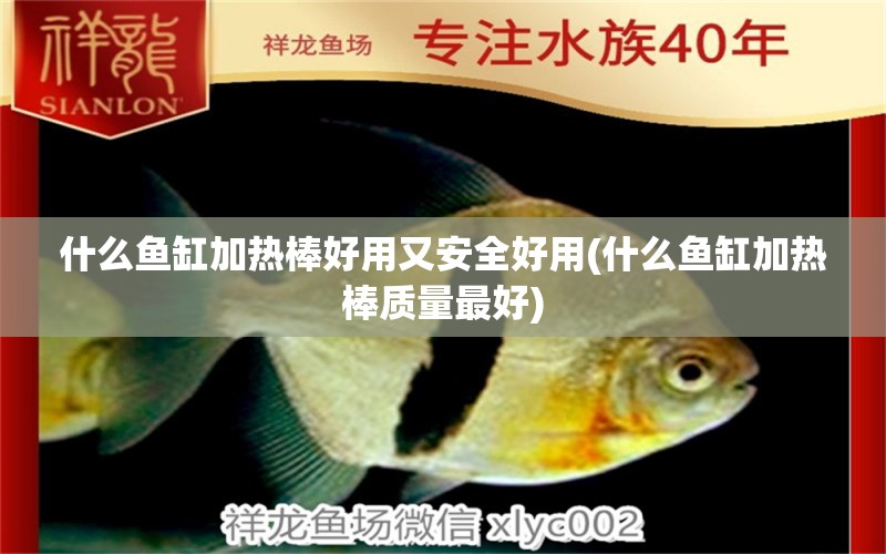 什么魚缸加熱棒好用又安全好用(什么魚缸加熱棒質(zhì)量最好) 白子球鯊魚 第1張