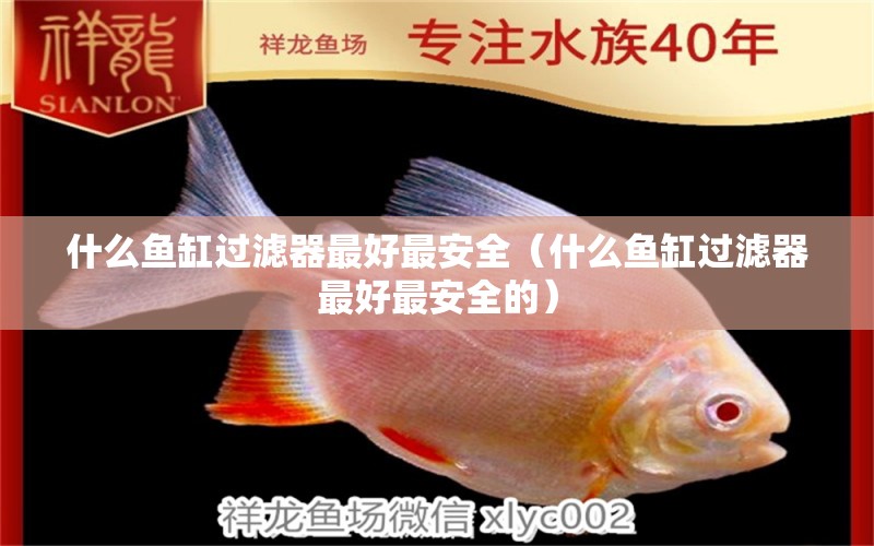 什么魚缸過濾器最好最安全（什么魚缸過濾器最好最安全的） 九鼎魚缸