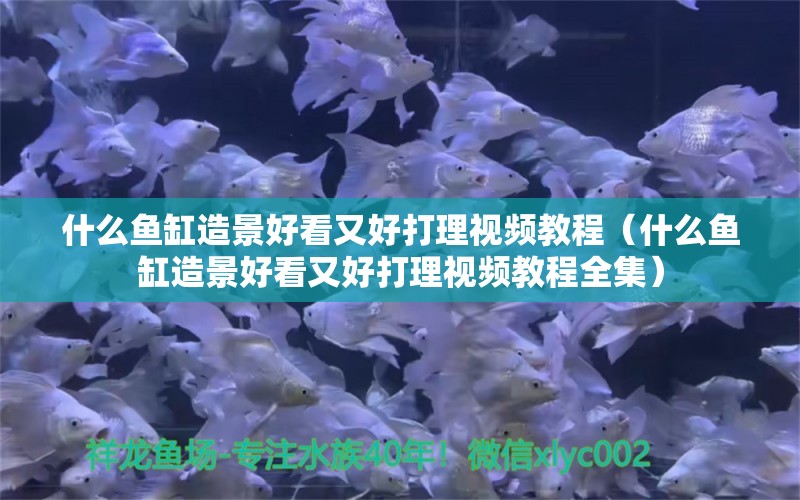 什么魚(yú)缸造景好看又好打理視頻教程（什么魚(yú)缸造景好看又好打理視頻教程全集） 紅龍福龍魚(yú)