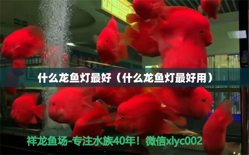 什么龍魚燈最好（什么龍魚燈最好用）