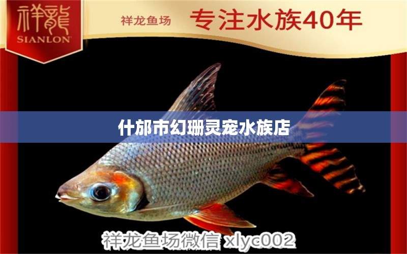 什邡市幻珊靈寵水族店