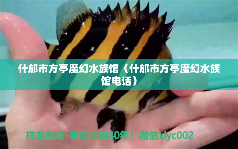 什邡市方亭魔幻水族館（什邡市方亭魔幻水族館電話） 全國水族館企業(yè)名錄