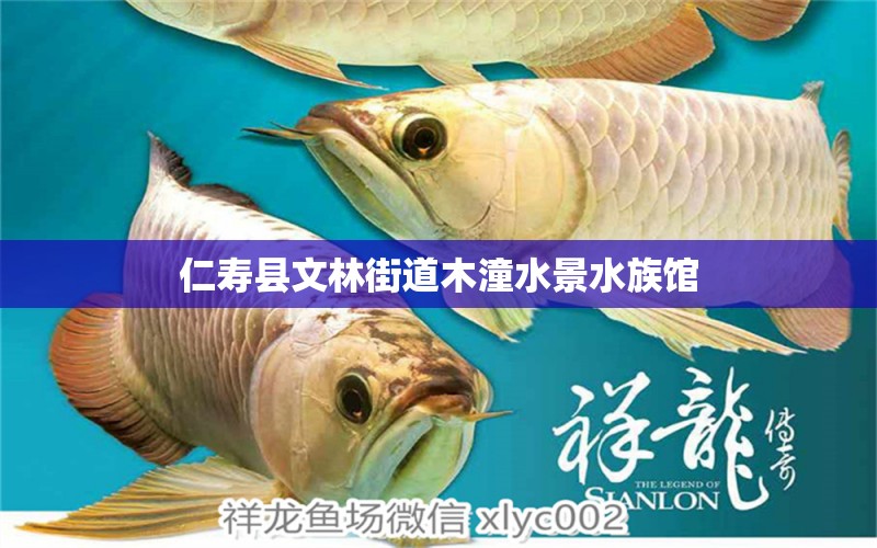 仁壽縣文林街道木潼水景水族館