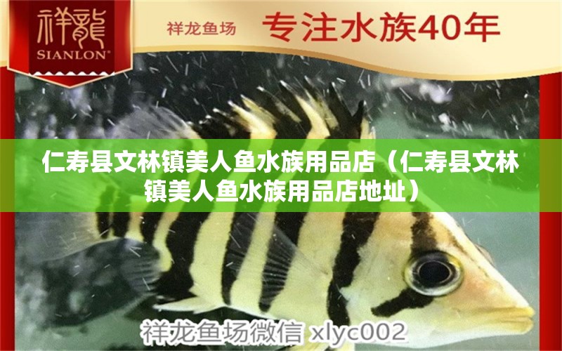 仁壽縣文林鎮(zhèn)美人魚水族用品店（仁壽縣文林鎮(zhèn)美人魚水族用品店地址） 水族用品