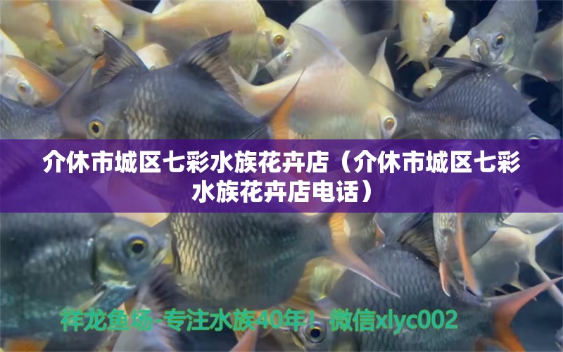 介休市城區(qū)七彩水族花卉店（介休市城區(qū)七彩水族花卉店電話）