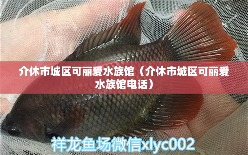 介休市城區(qū)可麗愛(ài)水族館（介休市城區(qū)可麗愛(ài)水族館電話） 全國(guó)水族館企業(yè)名錄