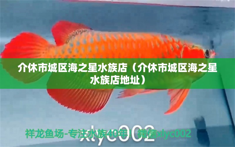 介休市城區(qū)海之星水族店（介休市城區(qū)海之星水族店地址）