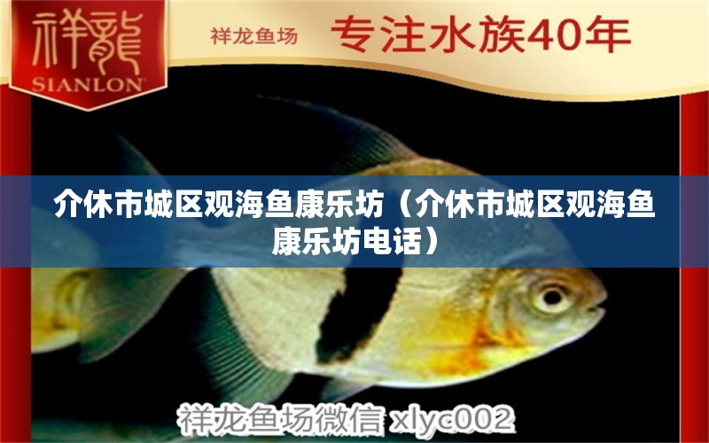 介休市城區(qū)觀海魚康樂坊（介休市城區(qū)觀海魚康樂坊電話）