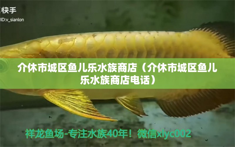 介休市城區(qū)魚兒樂水族商店（介休市城區(qū)魚兒樂水族商店電話） 全國水族館企業(yè)名錄