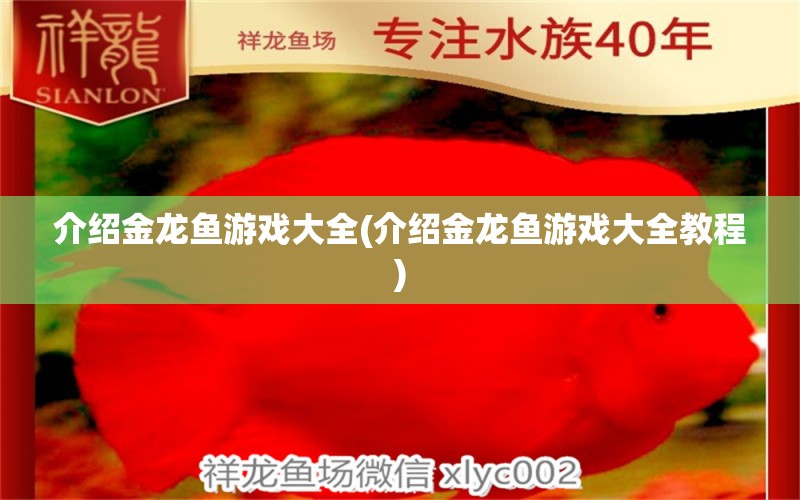 介紹金龍魚游戲大全(介紹金龍魚游戲大全教程) 杰西卡恐龍魚