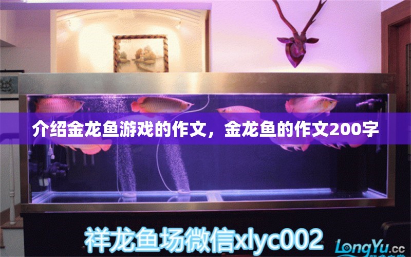 介紹金龍魚游戲的作文，金龍魚的作文200字 觀賞魚