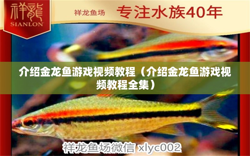 介紹金龍魚游戲視頻教程（介紹金龍魚游戲視頻教程全集）