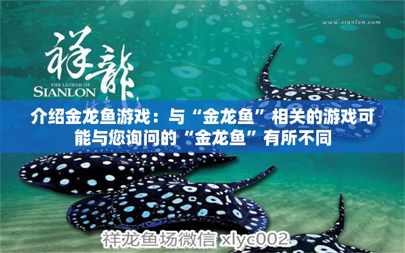 介紹金龍魚(yú)游戲：與“金龍魚(yú)”相關(guān)的游戲可能與您詢問(wèn)的“金龍魚(yú)”有所不同 龍魚(yú)百科 第2張