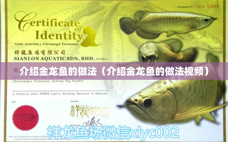 介紹金龍魚(yú)的做法（介紹金龍魚(yú)的做法視頻）