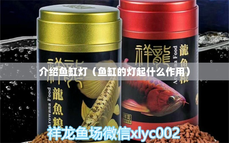 介紹魚缸燈（魚缸的燈起什么作用）