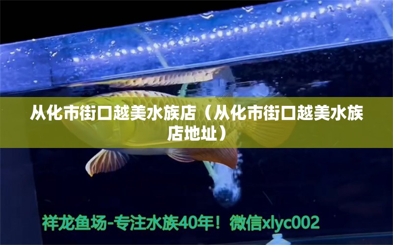 從化市街口越美水族店（從化市街口越美水族店地址） 全國水族館企業(yè)名錄