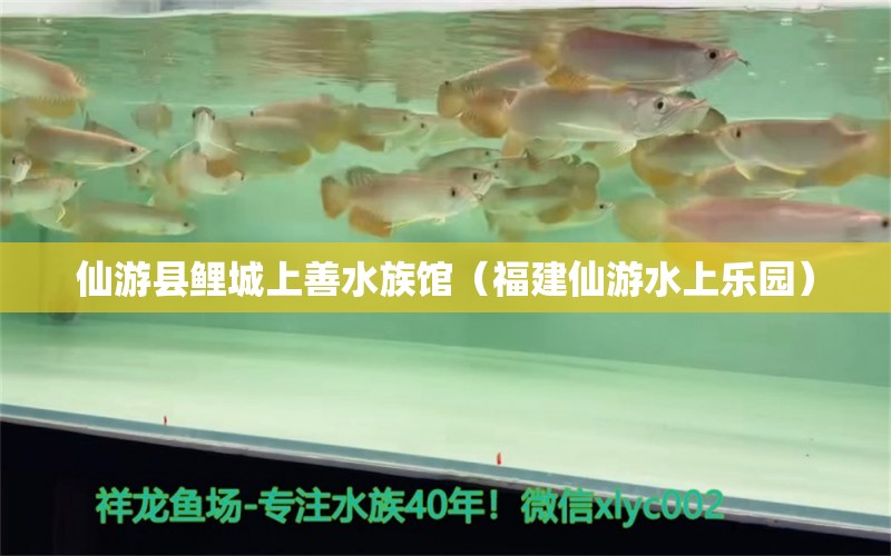 仙游縣鯉城上善水族館（福建仙游水上樂園） 全國水族館企業(yè)名錄