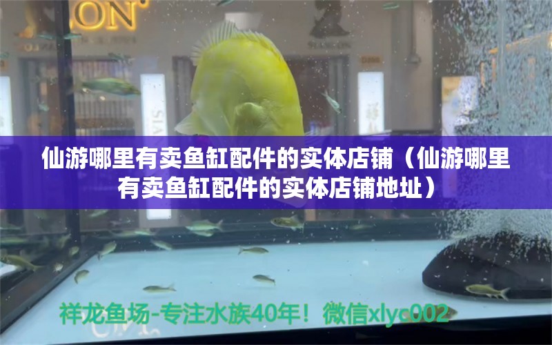 仙游哪里有賣魚缸配件的實(shí)體店鋪（仙游哪里有賣魚缸配件的實(shí)體店鋪地址）