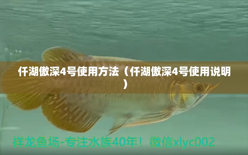 仟湖傲深4號使用方法（仟湖傲深4號使用說明）