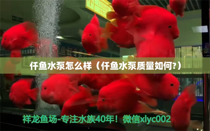 仟魚(yú)水泵怎么樣（仟魚(yú)水泵質(zhì)量如何?）