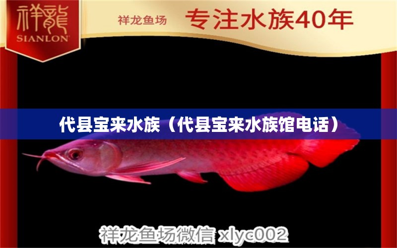 代縣寶來水族（代縣寶來水族館電話） 全國水族館企業(yè)名錄