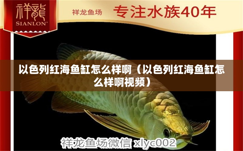 以色列紅海魚缸怎么樣?。ㄒ陨屑t海魚缸怎么樣啊視頻） 量子養(yǎng)魚技術