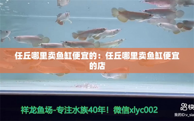 任丘哪里賣魚缸便宜的：任丘哪里賣魚缸便宜的店