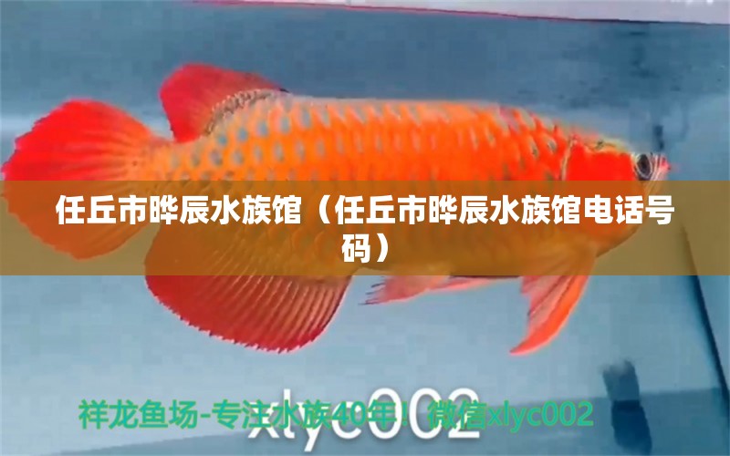 任丘市曄辰水族館（任丘市曄辰水族館電話號(hào)碼）