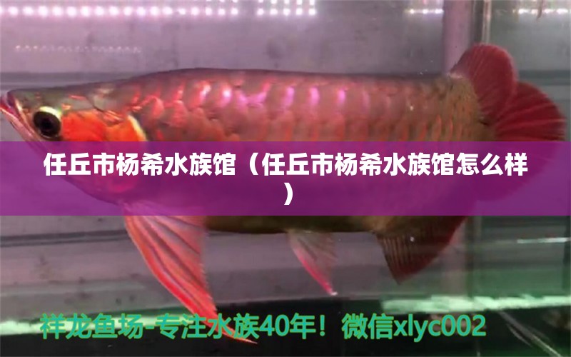 任丘市楊希水族館（任丘市楊希水族館怎么樣）