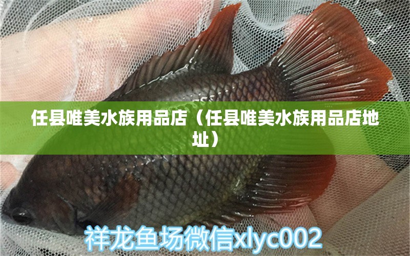 任縣唯美水族用品店（任縣唯美水族用品店地址）