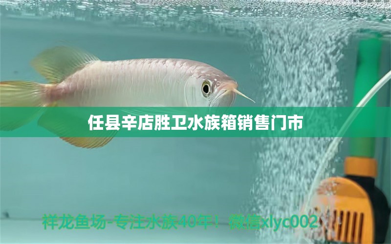 任縣辛店勝衛(wèi)水族箱銷售門市 魚缸/水族箱