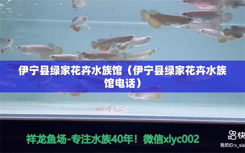 伊寧縣綠家花卉水族館（伊寧縣綠家花卉水族館電話）